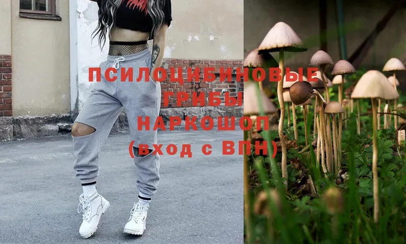 Галлюциногенные грибы Magic Shrooms  Алзамай 